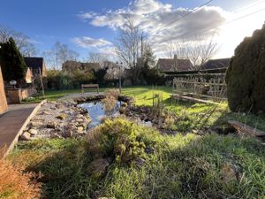 Pond- click for photo gallery